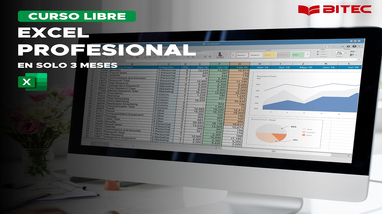 Curso de Excel Profesional BITEC